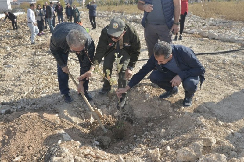 Rektör Akgül, ‘Geleceği Nefes” Kampanyası İçin Fidan Dikti