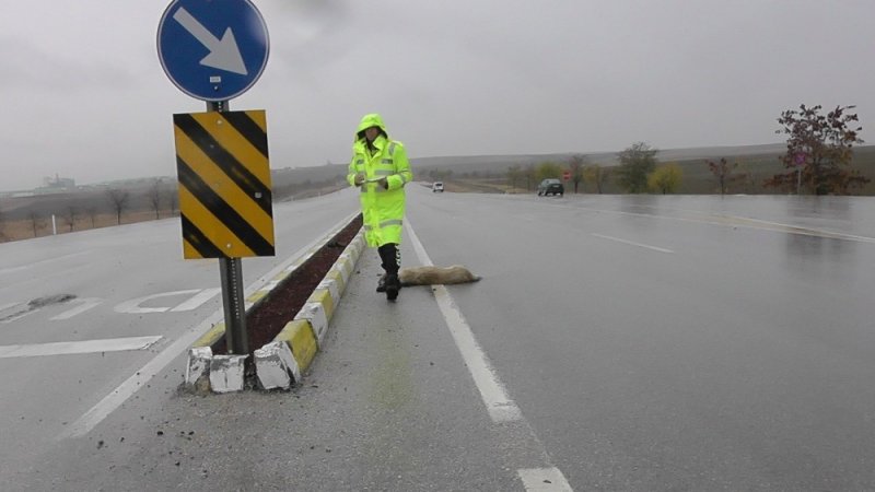 Köpeğe Çarpan Otomobil Şarampole Yuvarlandı: 4 Yaralı