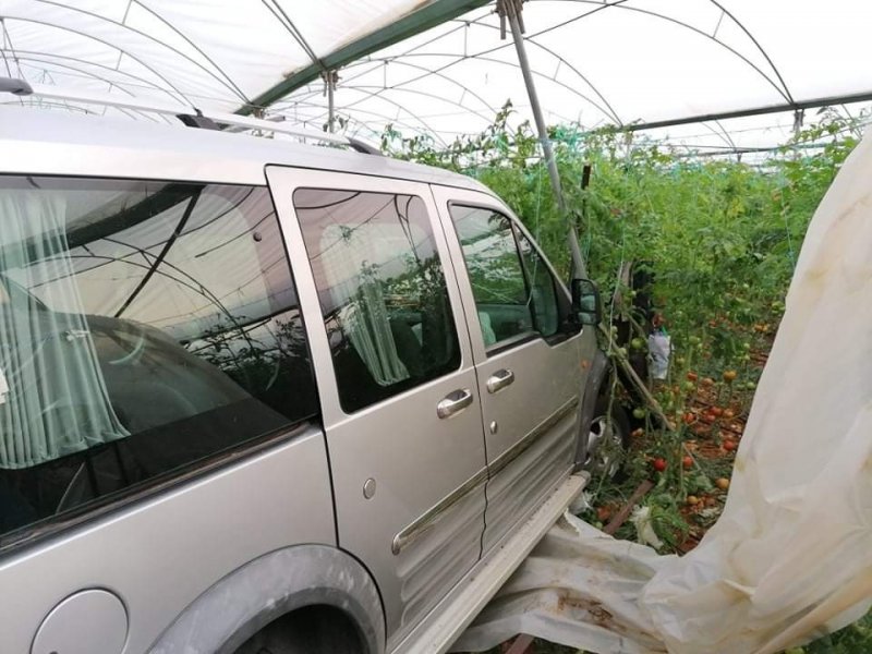 Hafif Ticari Araç Domates Serasına Düştü