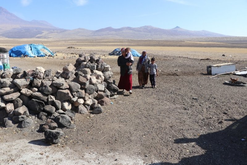 Aksaray'da İnekleri Çalınan Yaşlı Kadın Yardım Bekliyor
