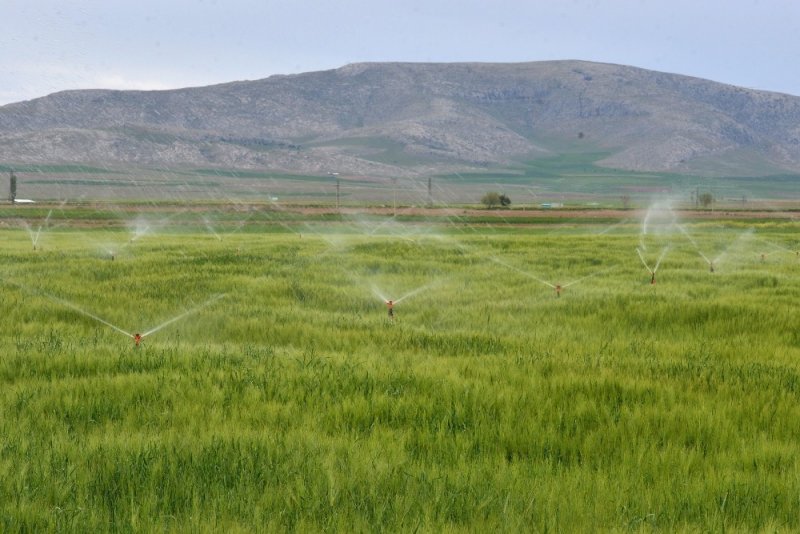 Aksaray’da 129 Bin 500 Dekar Tarım Arazisi Sulandı