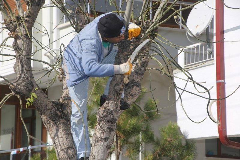 Başkan Kalaycı: “Karaman’ı Yeşillendirme Çalışmalarına Büyük Önem Veriyoruz”