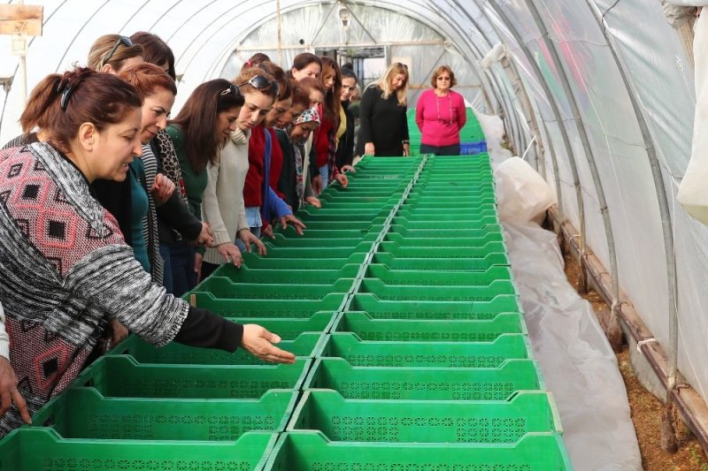 Mersin'de Kadınlara, ’Bahçecilik Alanı Ve Peyzaj Eğitimi’, ’Bahçecilik Alanı Ve Peyzaj Eğitimi’