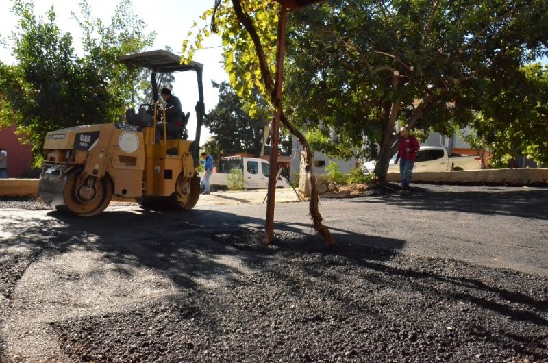 Down Sendromlu Seda Nur’un Büyük Sevinci