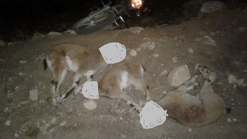 Karaman'da Kaçak Avcılara Ceza