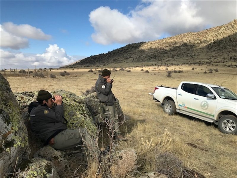 Karaman'da Kaçak Avcılara Ceza