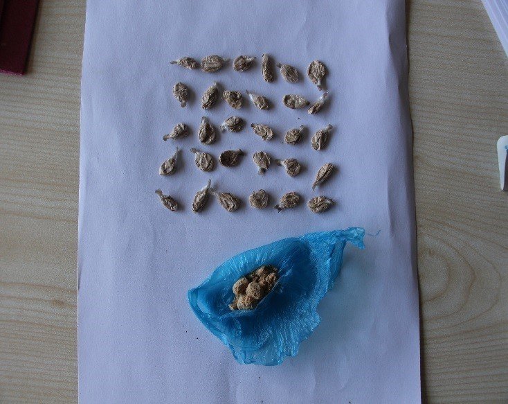 Karaman’da Narkotik Ekiplerinini Kasım Ayı Raporu