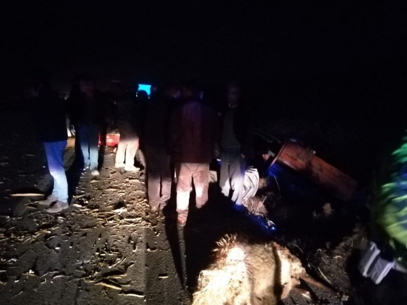 Tır İle Traktör Çarpıştı, Koyunlar Telef Oldu