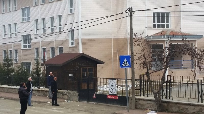 Köpeklerden Kaçan Kedi Direğe Çıktı