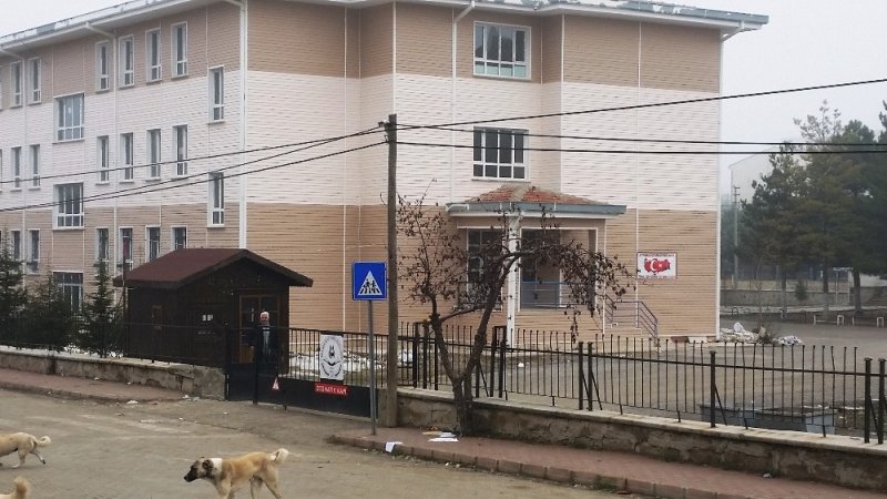 Köpeklerden Kaçan Kedi Direğe Çıktı