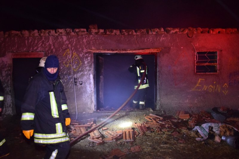 Konya'da Ahır Yangınında 240 Hayvan Telef Oldu