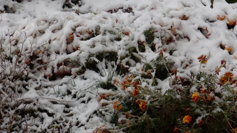 Karaman Kar Yağışı Sonrası Beyaza Büründü