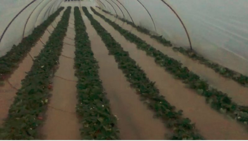 Antalya’da Etkili Yağış Su Baskınlarına Neden Oldu