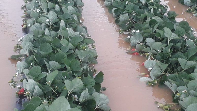 Antalya’da Etkili Yağış Su Baskınlarına Neden Oldu