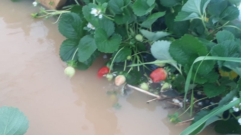 Antalya’da Etkili Yağış Su Baskınlarına Neden Oldu