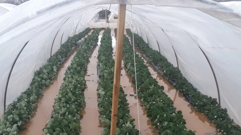 Antalya’da Etkili Yağış Su Baskınlarına Neden Oldu