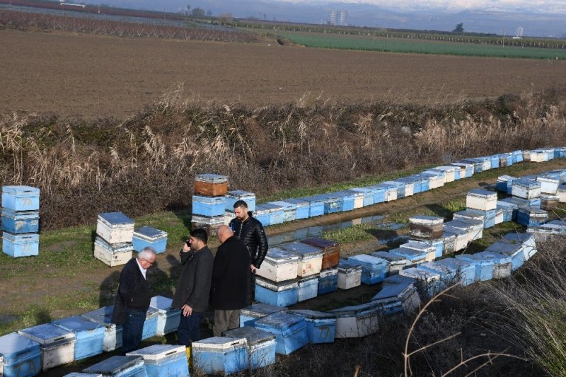 Mersin’de 15 Bin Arı Kovanı Sular Altında Kaldı