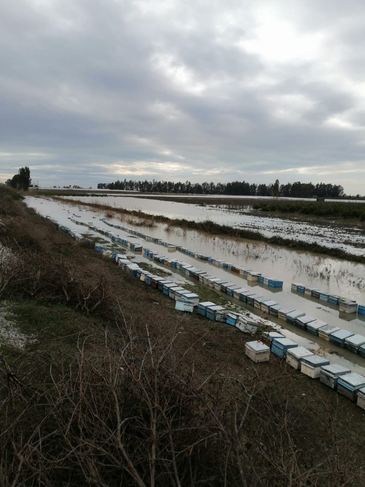 Mersin’de 15 Bin Arı Kovanı Sular Altında Kaldı