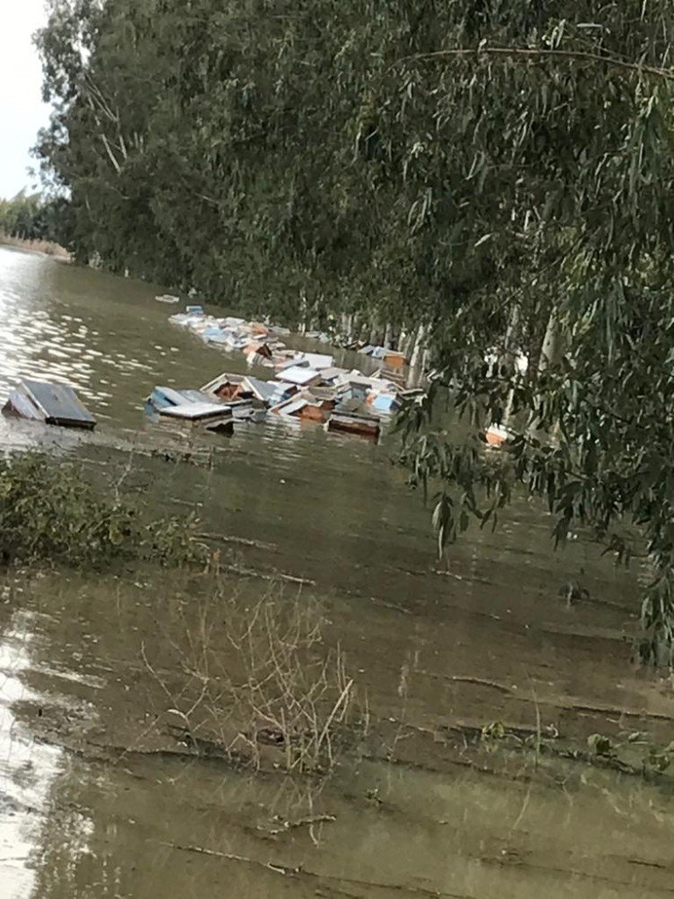 Mersin’de 15 Bin Arı Kovanı Sular Altında Kaldı