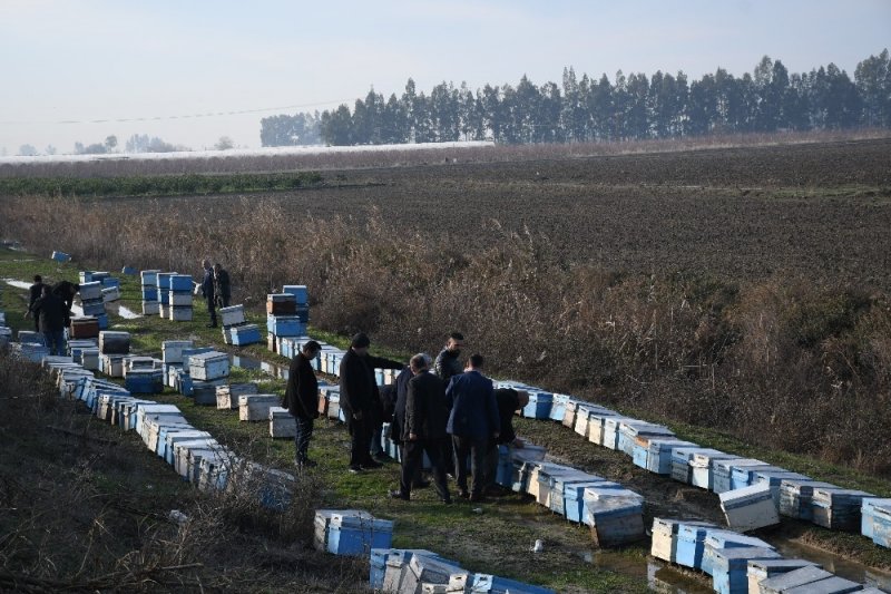Mersin’de 15 Bin Arı Kovanı Sular Altında Kaldı