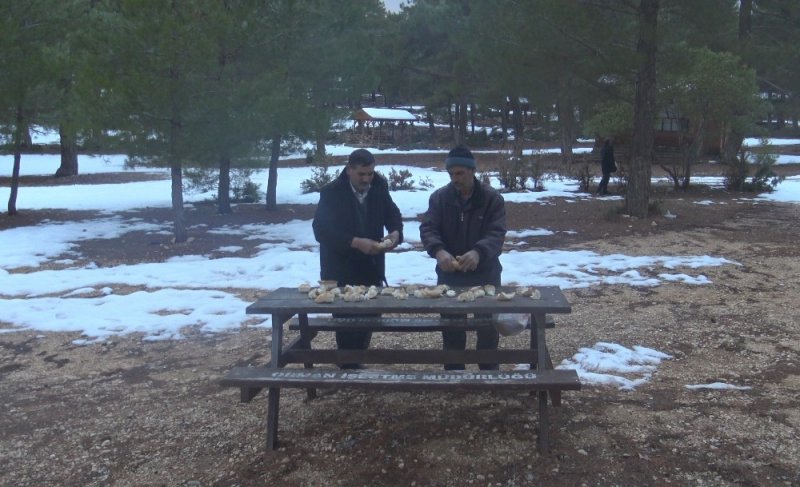 Karaman'da Yaban Hayvanları İçin Ormana Yiyecek Bıraktı