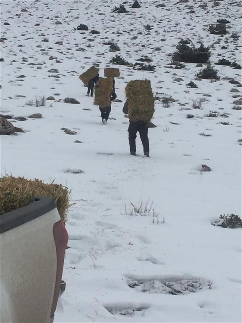 Niğde'de Yaban Hayvanları İçin Doğaya Yem Bırakıldı
