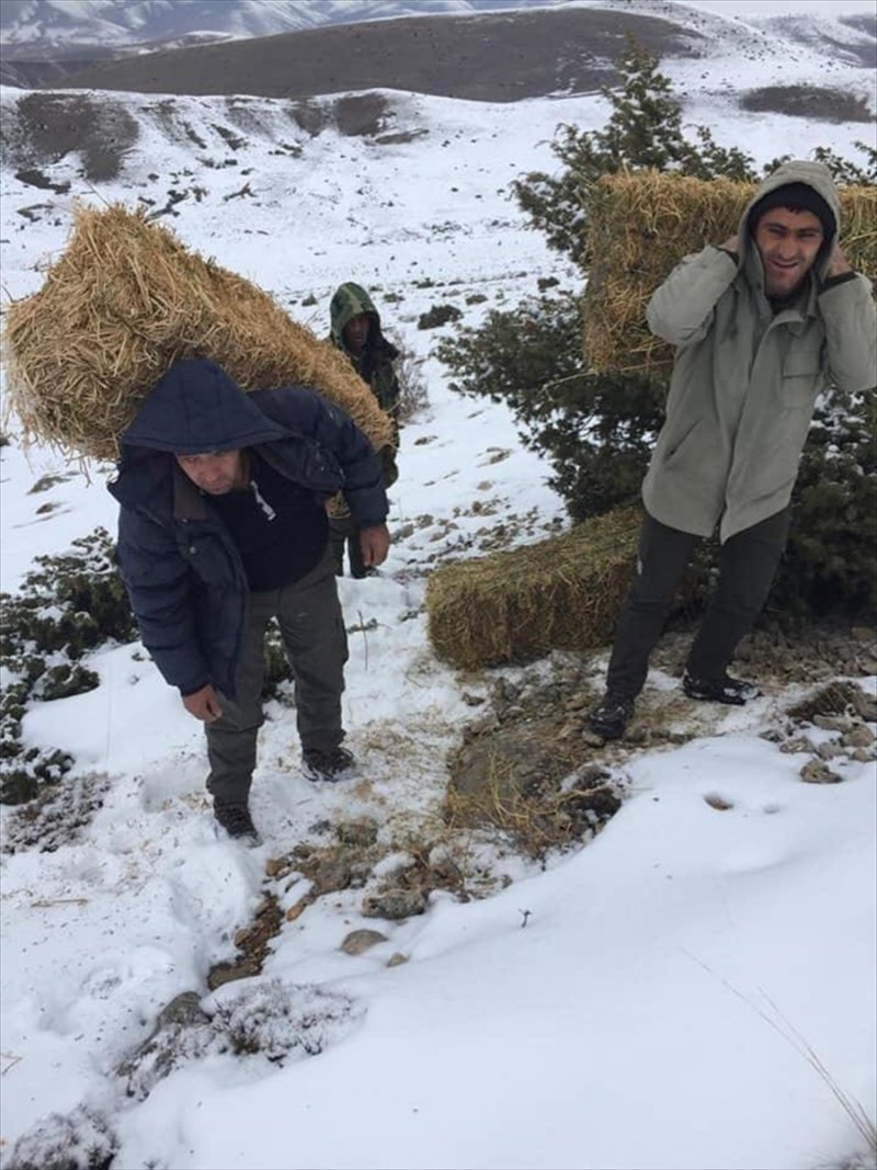 Niğde'de Yaban Hayvanları İçin Doğaya Yem Bırakıldı