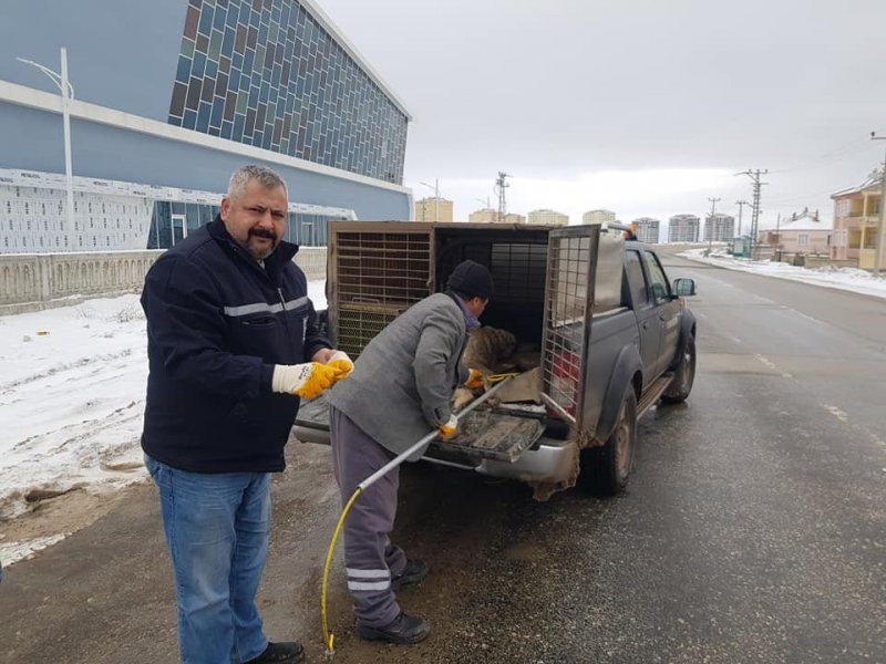 Yaralı Köpeğe Belediye Ekiplerinden Müdahale