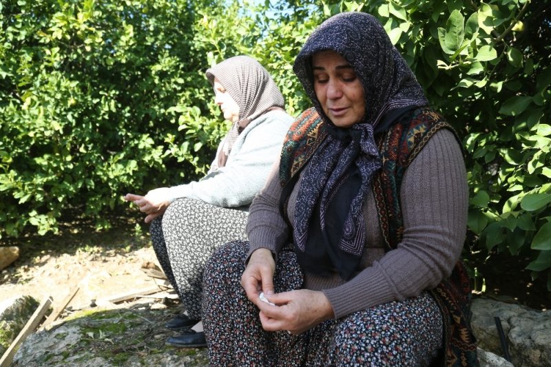 Mersin'de Vicdanları Sızlatan Ağaç Katliamı