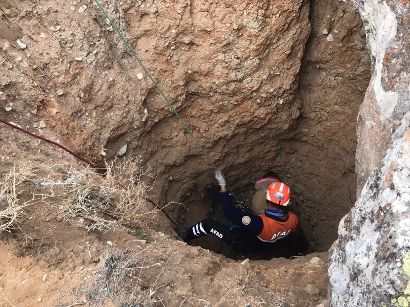 Aksaray'da Kuyuya Düşen Eşek Afad Ekiplerince Kurtarıldı