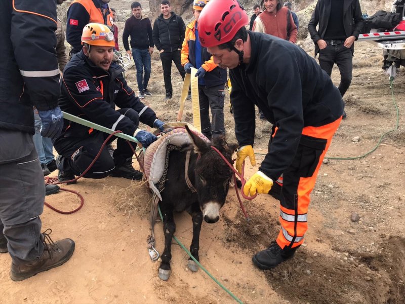Aksaray'da Kuyuya Düşen Eşek Afad Ekiplerince Kurtarıldı
