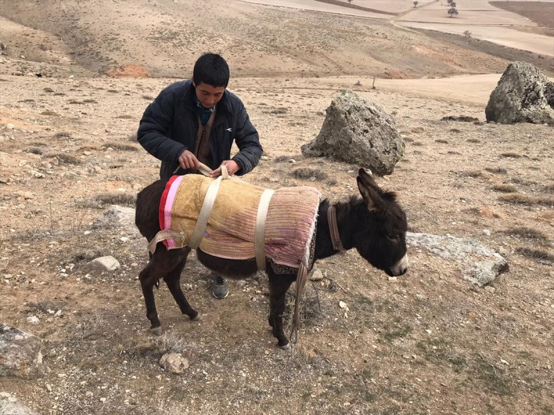 Aksaray'da Kuyuya Düşen Eşek Afad Ekiplerince Kurtarıldı