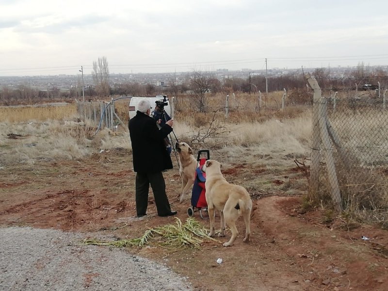 Aksaray’da 20 Yıldır Pazar Arabasıyla Hayvanlara Yiyecek Taşıyor