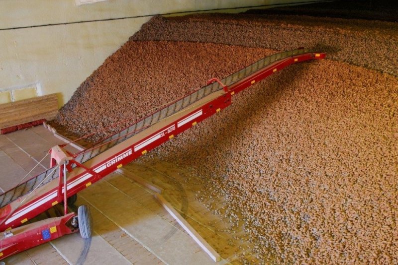 Konya Şeker'in yatırımlarıyla patates üretimi de arttı