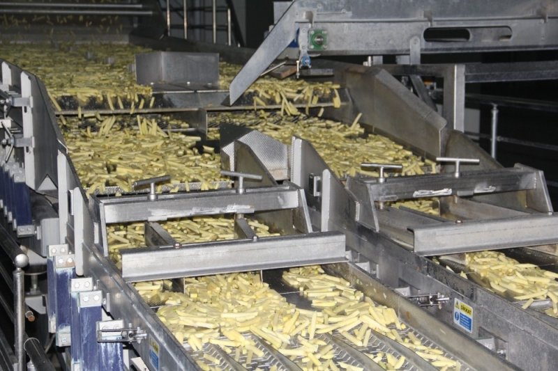 Konya Şeker'in yatırımlarıyla patates üretimi de arttı