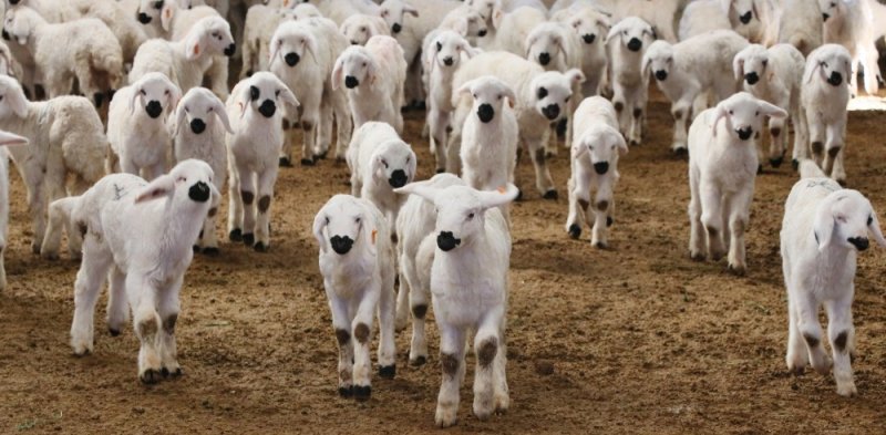 Aksaray Üreticisine Maaş Artı Sigortalı Eğitim