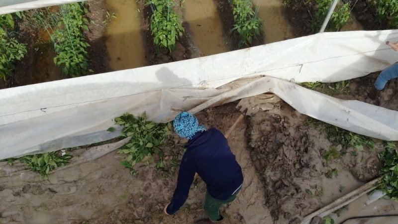 Mersin’de Çiftçinin Sellerde Kaybı Çok Ağır Oldu