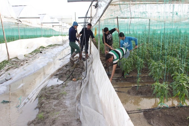 Mersin’de Çiftçinin Sellerde Kaybı Çok Ağır Oldu