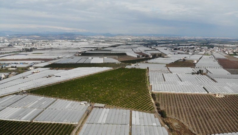 Mersin’de Çiftçinin Sellerde Kaybı Çok Ağır Oldu