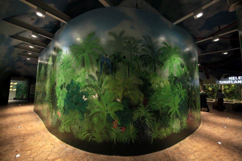 Konya Tropikal Kelebek Bahçesi Yenilendi