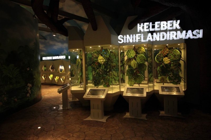 Konya Tropikal Kelebek Bahçesi Yenilendi