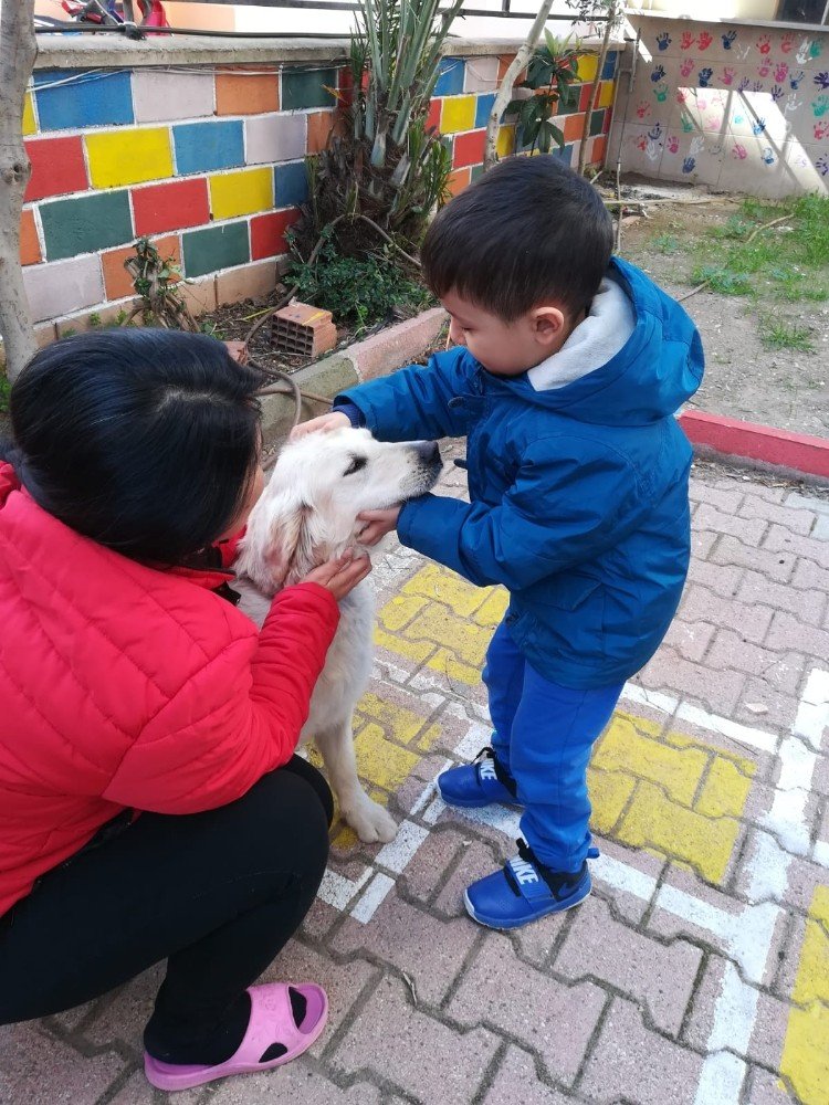 Minikler Öldürülmekle Tehdit Edilen Köpeği Sahiplendi