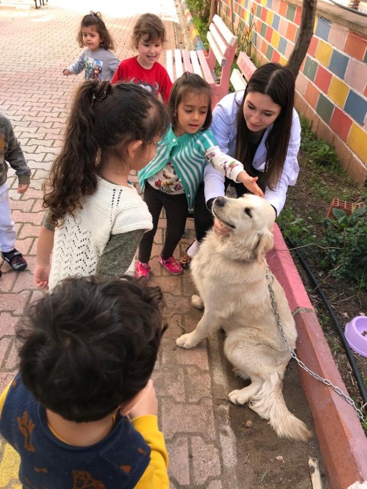 Minikler Öldürülmekle Tehdit Edilen Köpeği Sahiplendi