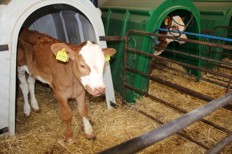 Kop'tan Kalkınmaya 1,2 Milyar Liralık Destek