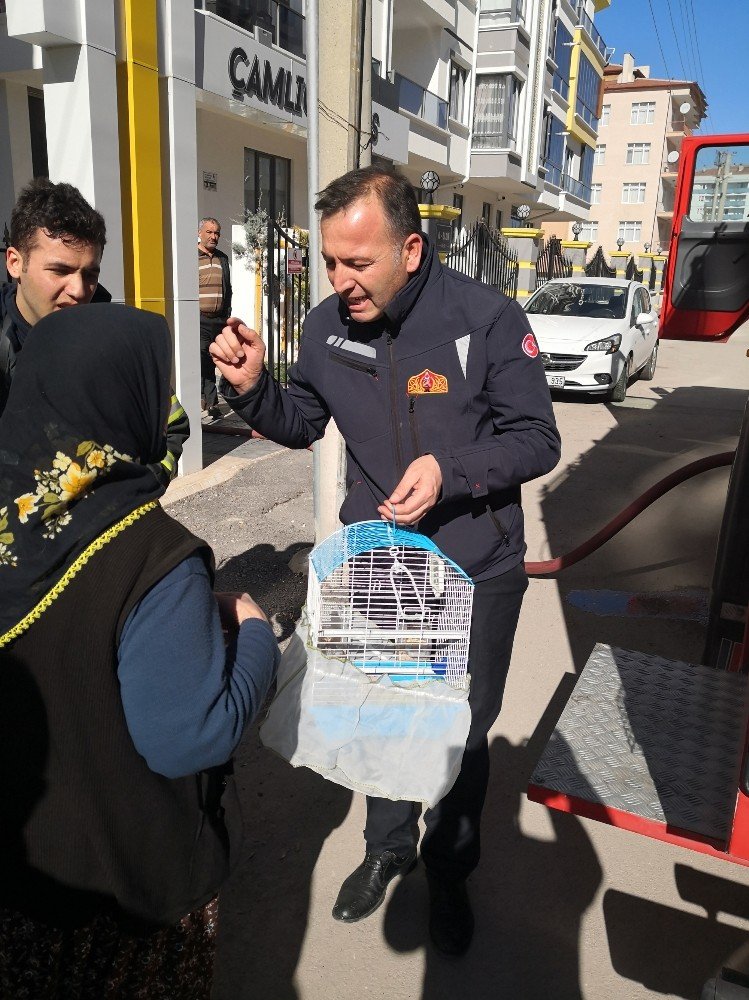 Aksaray İtfaiyesi Minik Kuşu da Yanmaktan Kurtardı