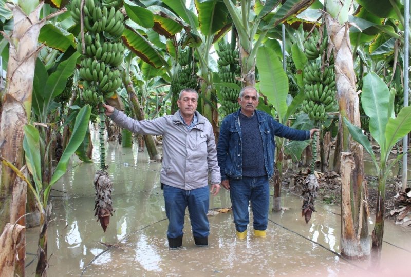 2 Bin Dönüm Muz Serası Sular Altında
