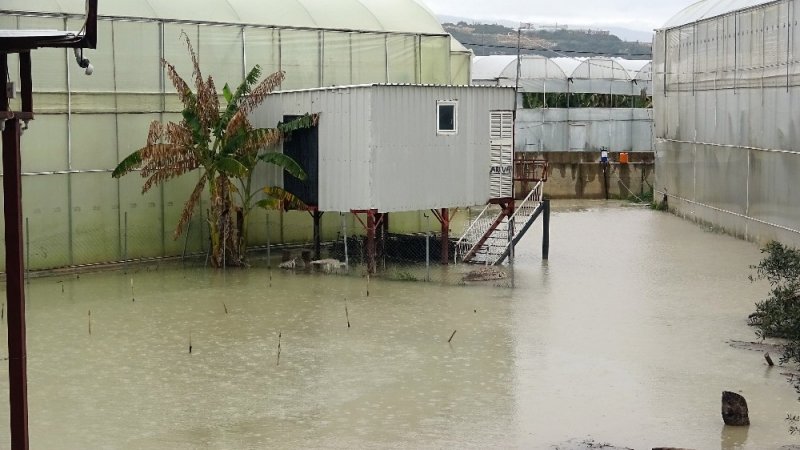 2 Bin Dönüm Muz Serası Sular Altında