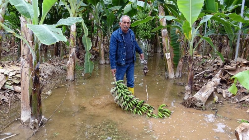 2 Bin Dönüm Muz Serası Sular Altında