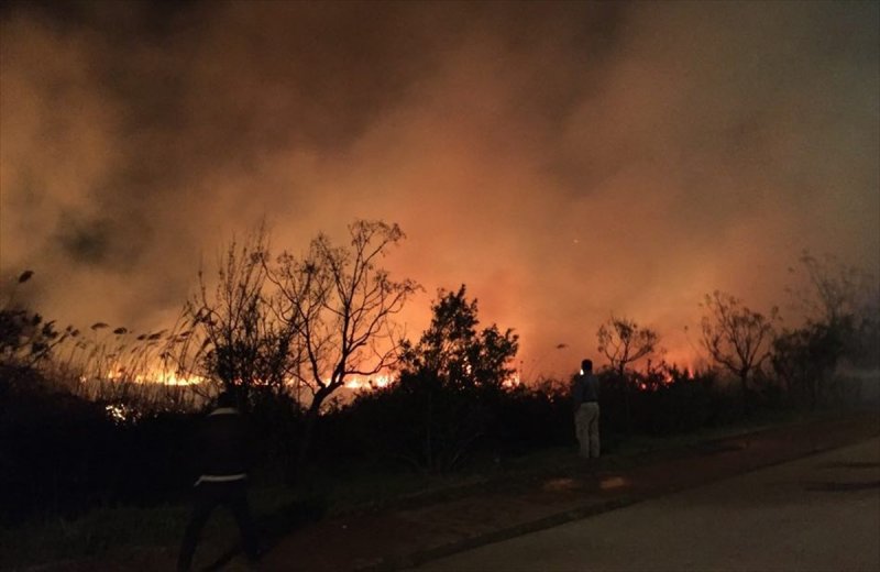 Antalya'da Sazlık Yangını