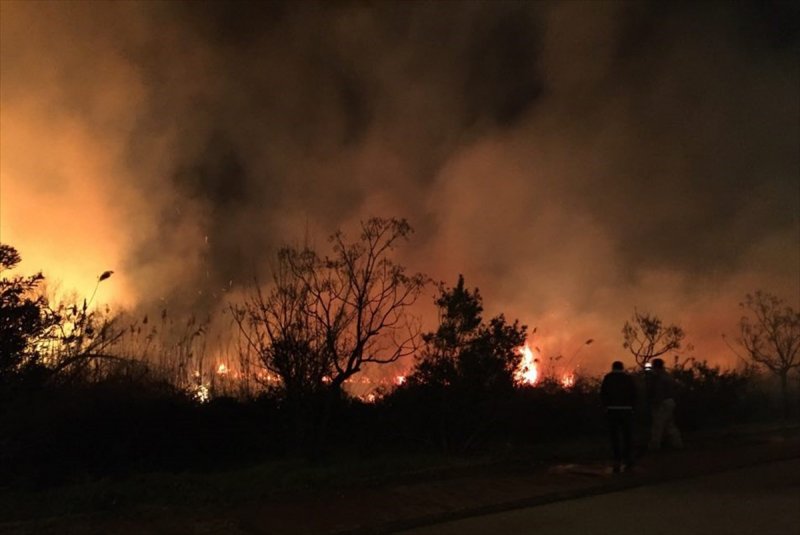 Antalya'da Sazlık Yangını